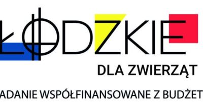 Dzieci pokażą, jak dbać o domowe zwierzęta